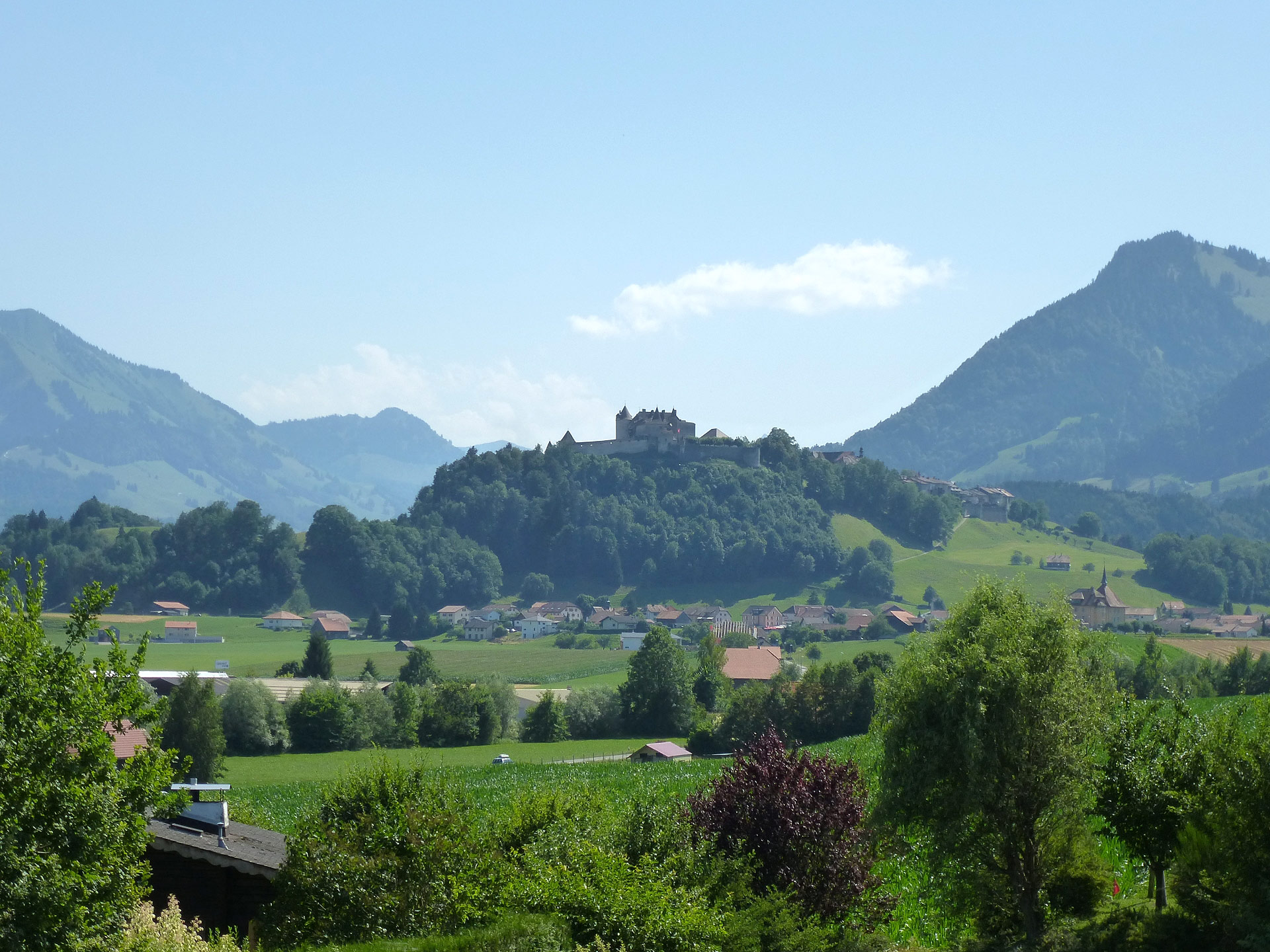Gruyeres